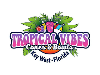 TROPICAL VIBES CONES & BOWLS KEY WEST · FLORIDA logo