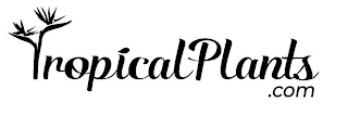 TROPICALPLANTS.COM logo