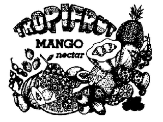 TROPIFRUT MANGO NECTAR logo