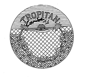 TROPITAN CARIBE logo