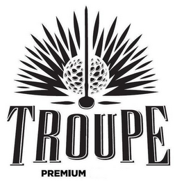 TROUPE PREMIUM logo