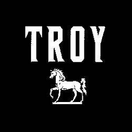 TROY logo