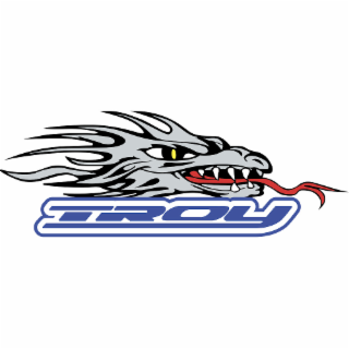 TROY logo