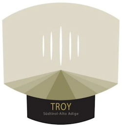 TROY SÜDTIROL-ALTO ADIGE logo