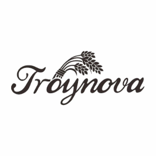TROYNOVA logo