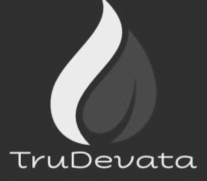 TRUDEVATA logo