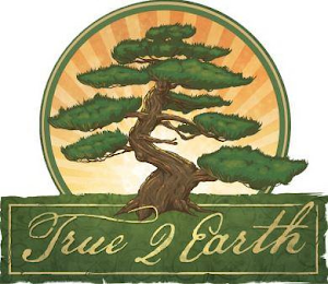 TRUE 2 EARTH logo