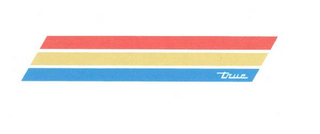 TRUE logo