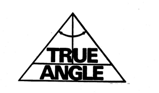 TRUE ANGLE logo