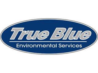 TRUE BLUE ENVIRONMENTAL SERVICES logo