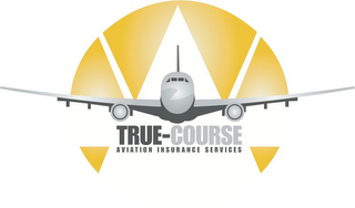 TRUE-COURSE AVIATION INSURANCE SERVICES logo