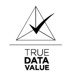 TRUE DATA VALUE logo