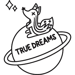 TRUE DREAMS logo