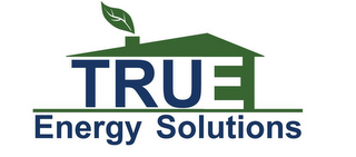 TRUE ENERGY SOLUTIONS logo