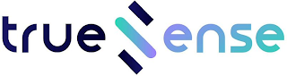 TRUE ENSE logo