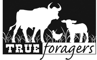 TRUE FORAGERS logo