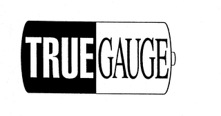 TRUE GAUGE logo
