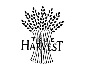 TRUE HARVEST logo