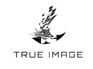 TRUE IMAGE logo