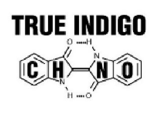 TRUE INDIGO CH NO O H N O H N logo