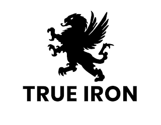 TRUE IRON logo
