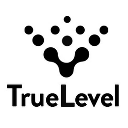 TRUE LEVEL logo