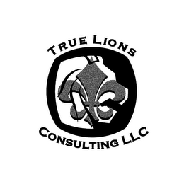 TRUE LIONS CONSULTING LLC logo
