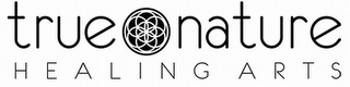 TRUE NATURE H E A L I N G A R T S logo