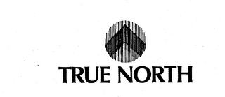 TRUE NORTH logo