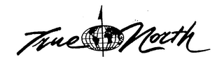 TRUE NORTH logo