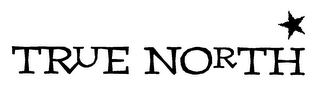 TRUE NORTH logo