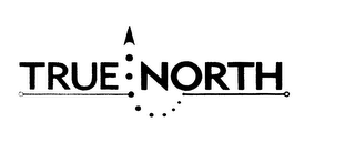 TRUE NORTH logo