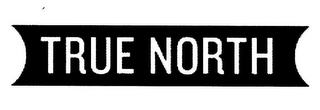 TRUE NORTH logo