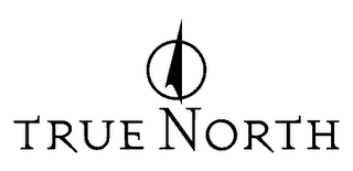 TRUE NORTH logo