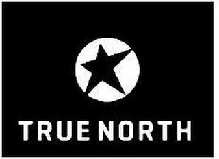 TRUE NORTH logo