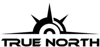 TRUE NORTH logo