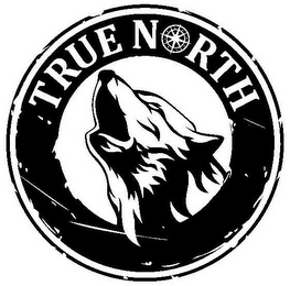 TRUE NORTH logo