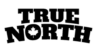 TRUE NORTH logo