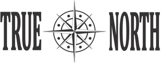 TRUE NORTH logo