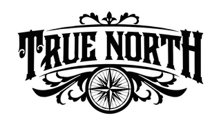 TRUE NORTH logo