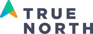 TRUE NORTH logo