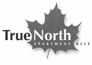 TRUE NORTH  A P A R T M E N T  R E I T logo
