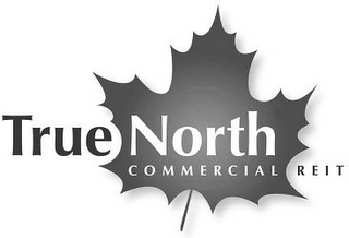 TRUE NORTH COMMERCIAL REIT logo
