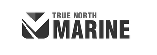 TRUE NORTH MARINE logo