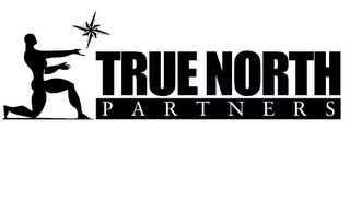TRUE NORTH PARTNERS logo