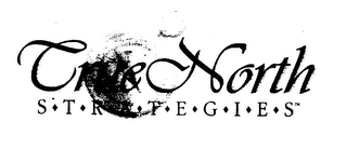 TRUE NORTH STRATEGIES logo