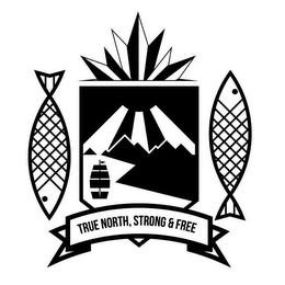 TRUE NORTH, STRONG & FREE logo