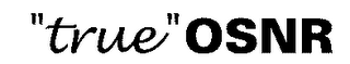 "TRUE" OSNR logo