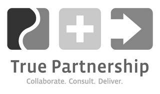 TRUE PARTNERSHIP COLLABORATE. CONSULT. DELIVER. logo
