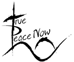 TRUE PEACE NOW logo